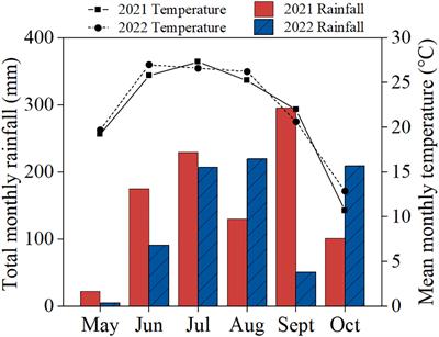 Organ removal of maize increases peanut canopy photosynthetic capacity, dry matter accumulation, and yield in maize/peanut intercropping